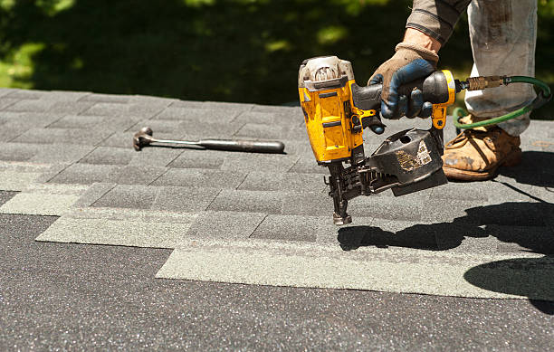 Best Roof Gutter Cleaning  in Warrenton, MO